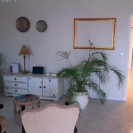 Flamingos Rio