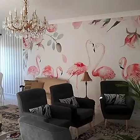 Hotel Flamingos Rio *